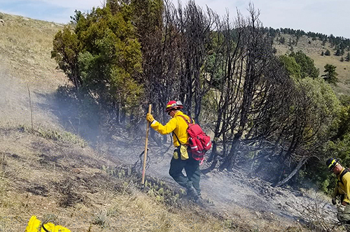 Fighting a Small Fire