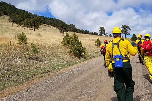 Wildland Training Hike